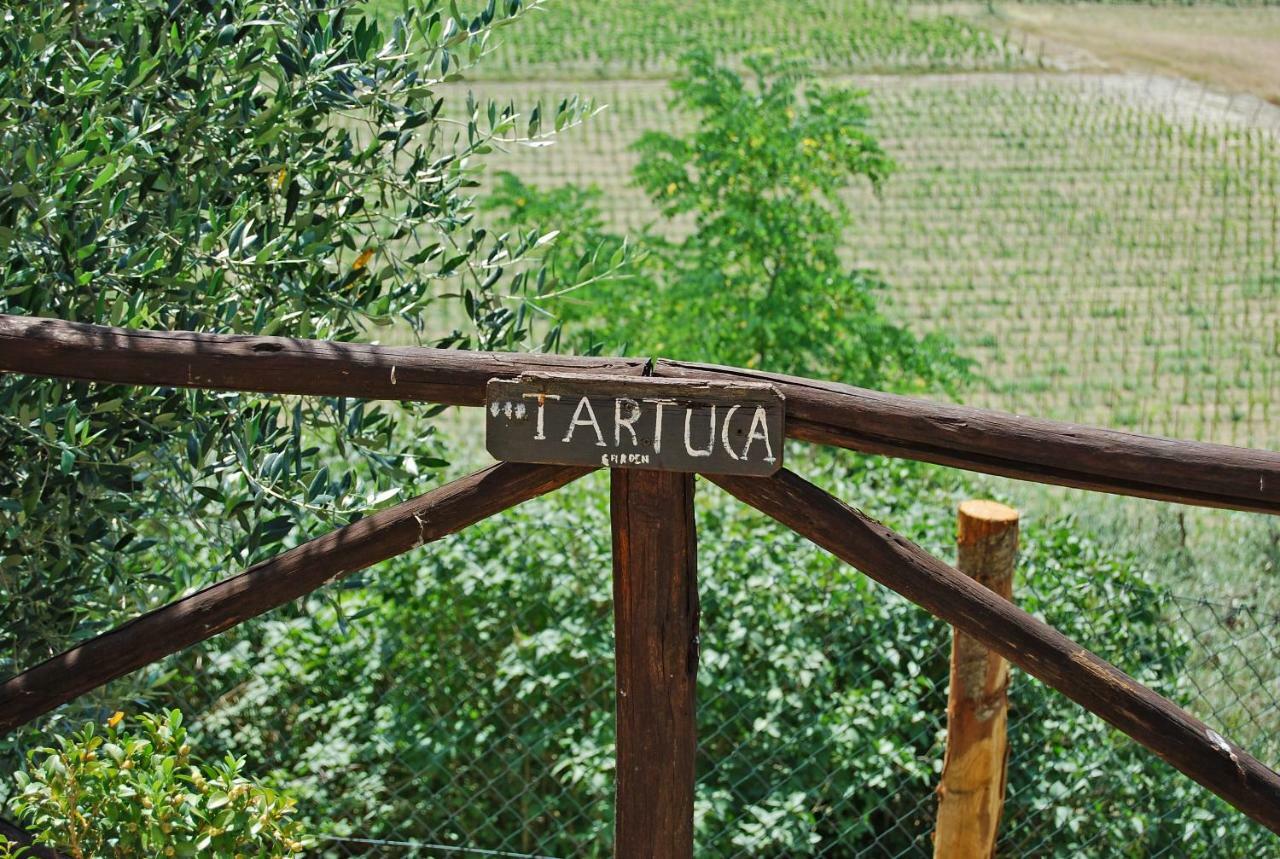 Podere Remignoli Apartman San Gimignano Kültér fotó